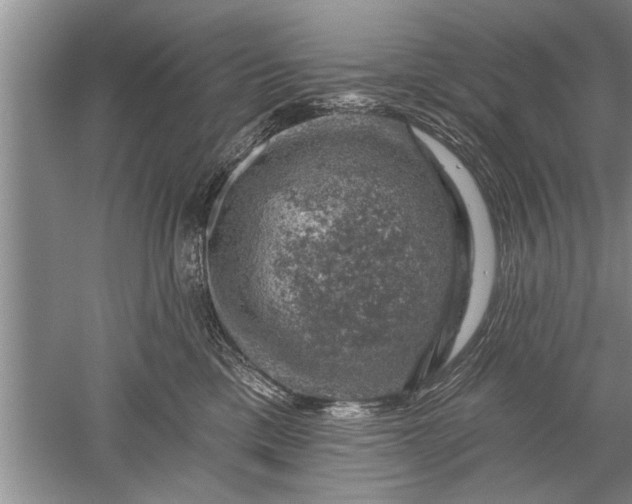 X0000052570425200507152257