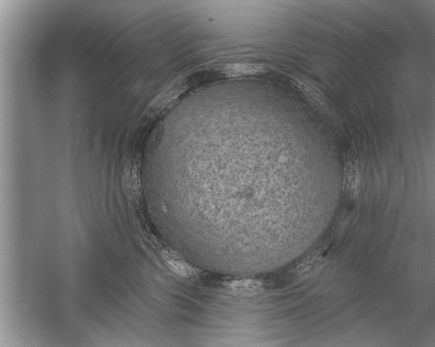 X0000052570426200507152257