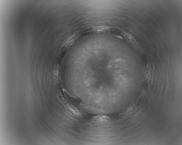 X0000052570427200507152257