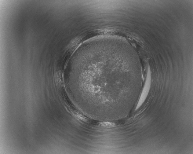 X0000052570429200507152257