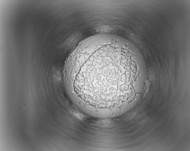 X0000052570431200507152257