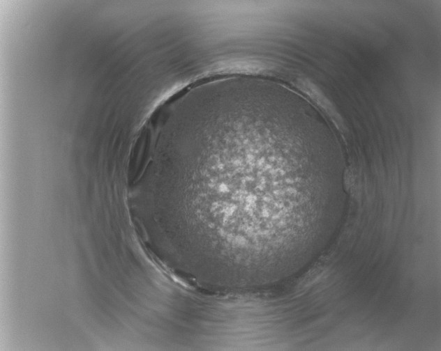 X0000052570434200507152256