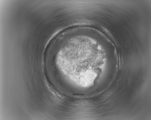 X0000052570435200507152256