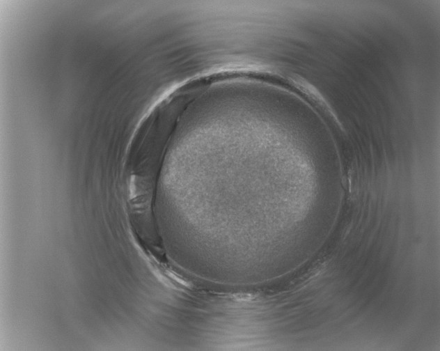 X0000052570436200507152256