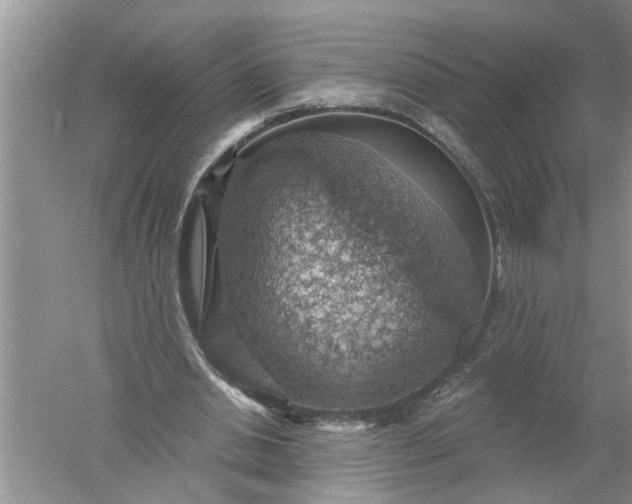 X0000052570438200507152256