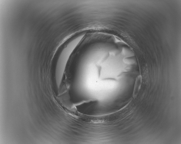 X0000052570440200507152256