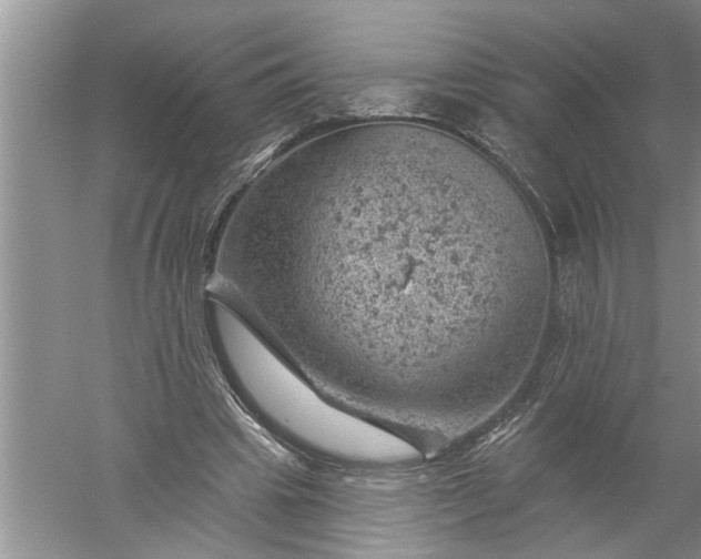 X0000052570441200507152256