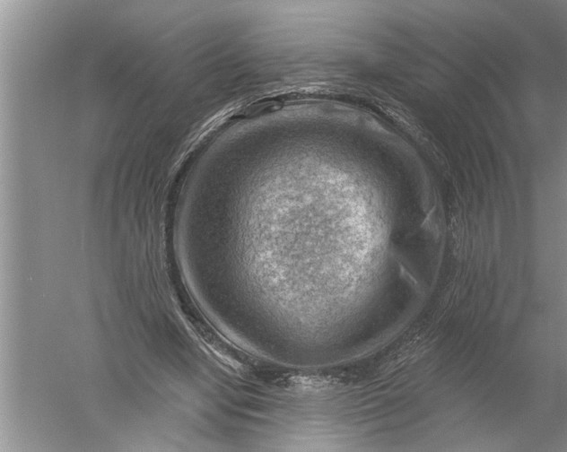 X0000052570442200507152256