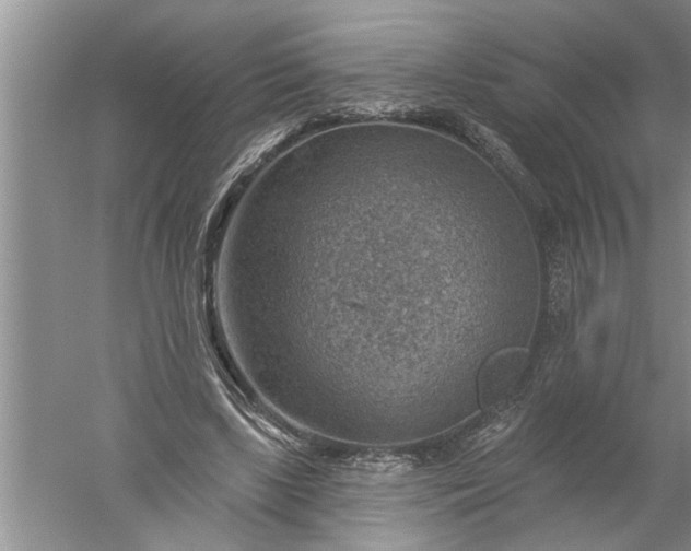 X0000052570443200507152256