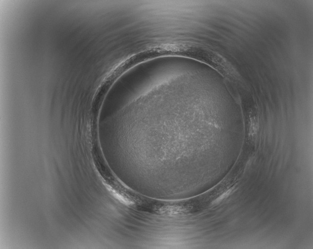 X0000052570444200507152256