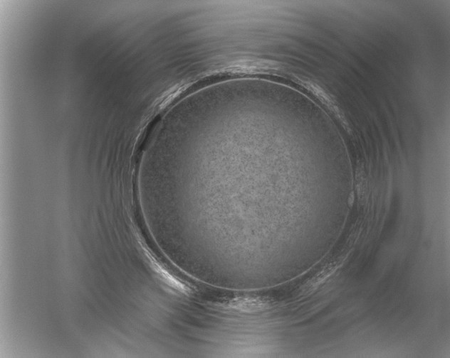 X0000052570445200507152256