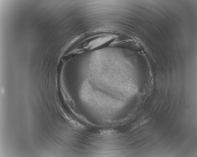 X0000052570446200507152256