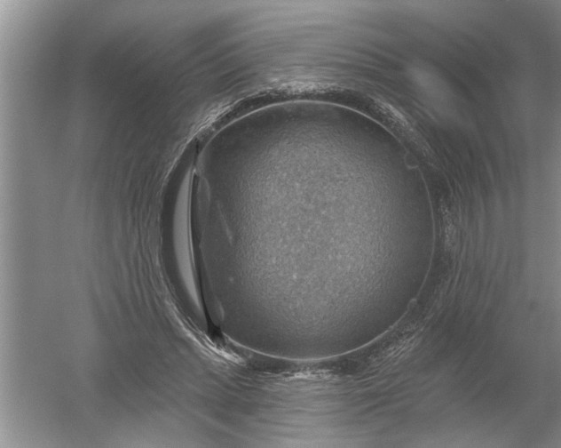 X0000052570447200507152256