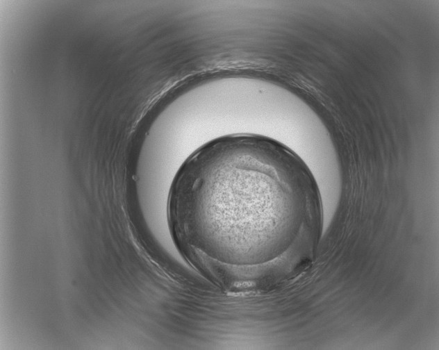 X0000052570448200507152256