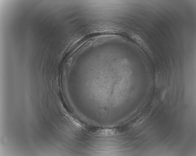 X0000052570449200507152256