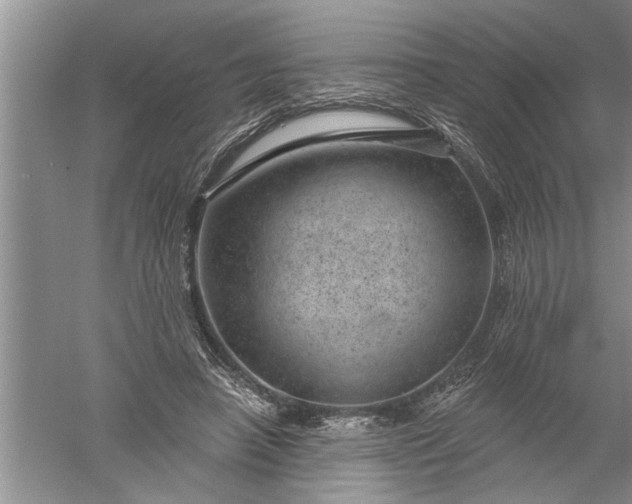 X0000052570450200507152256