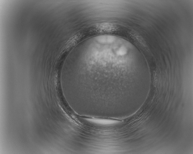 X0000052570451200507152256