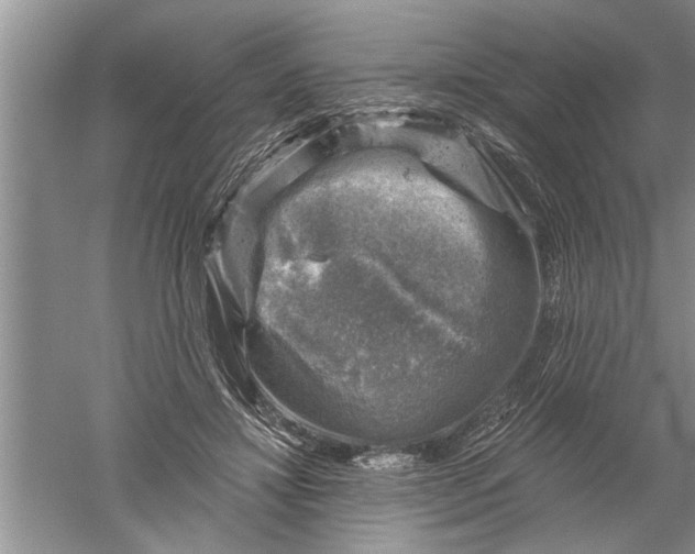 X0000052570452200507152256