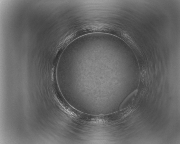 X0000052570454200507152256