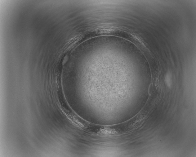 X0000052570455200507152256