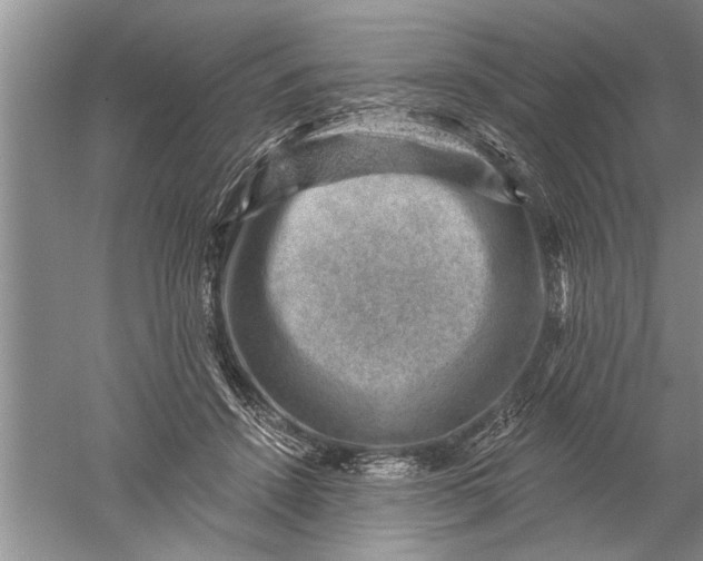 X0000052570456200507152256