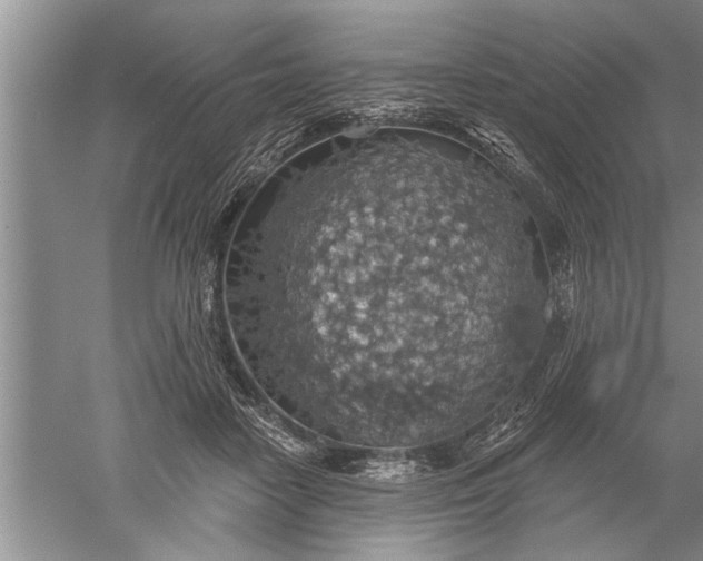 X0000052570458200507152256