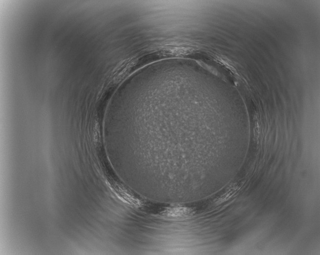 X0000052570459200507152256