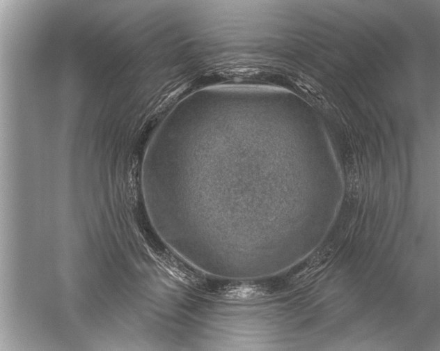 X0000052570460200507152256