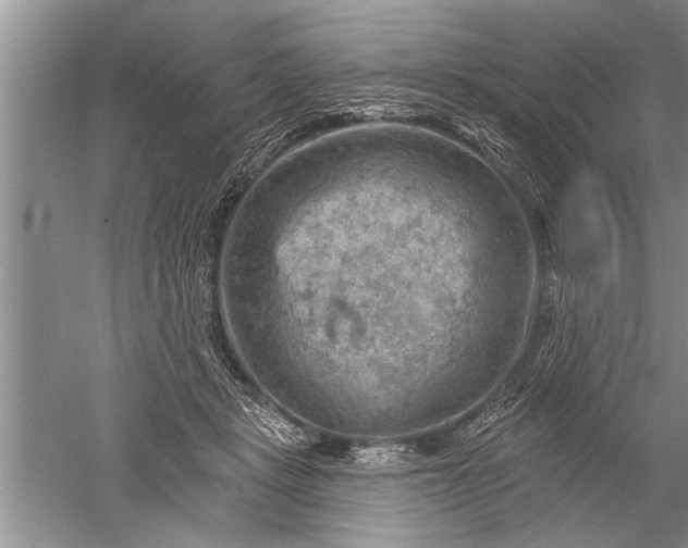 X0000052570461200507152256