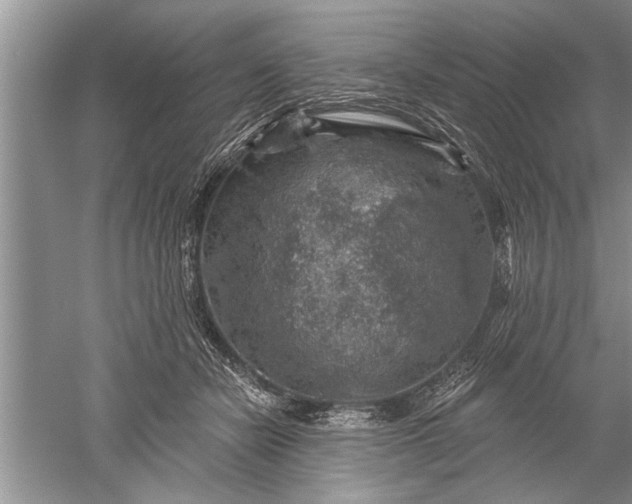 X0000052570462200507152257