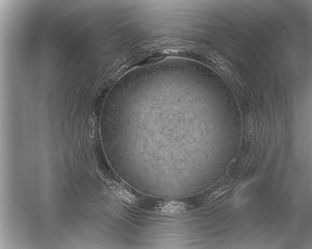 X0000052570463200507152257