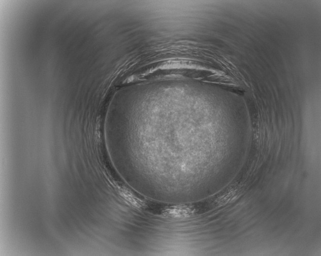 X0000052570466200507152257