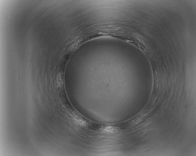 X0000052570467200507152257