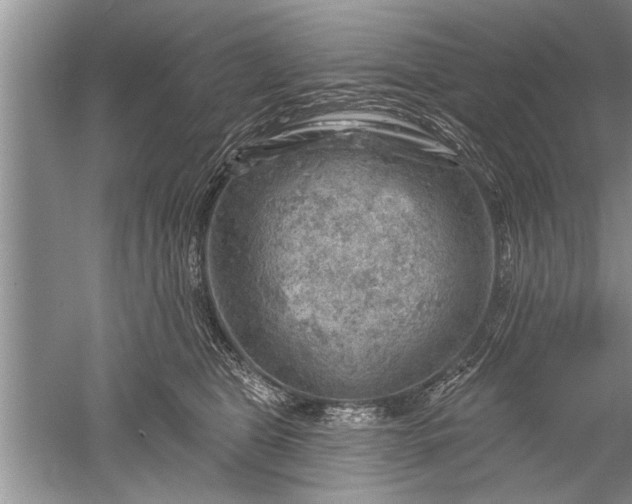 X0000052570469200507152257