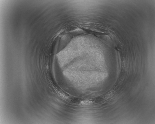 X0000052570470200507152257