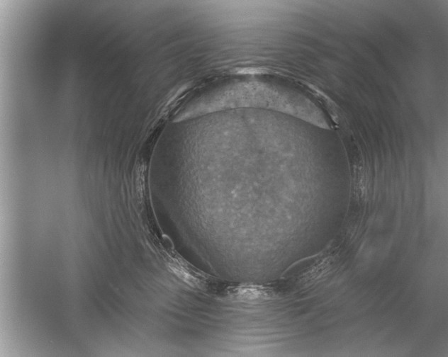 X0000052570475200507152257