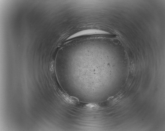 X0000052570477200507152257