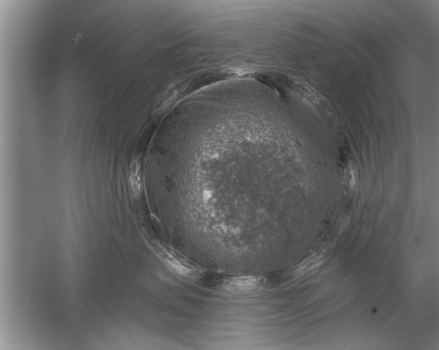 X0000052570479200507152257