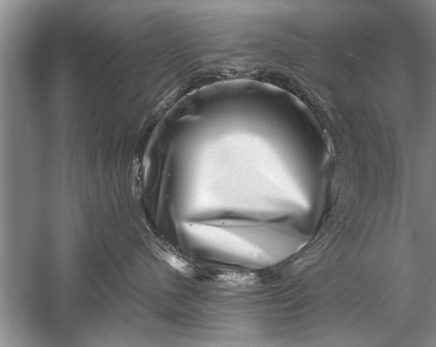 X0000052570480200507152257