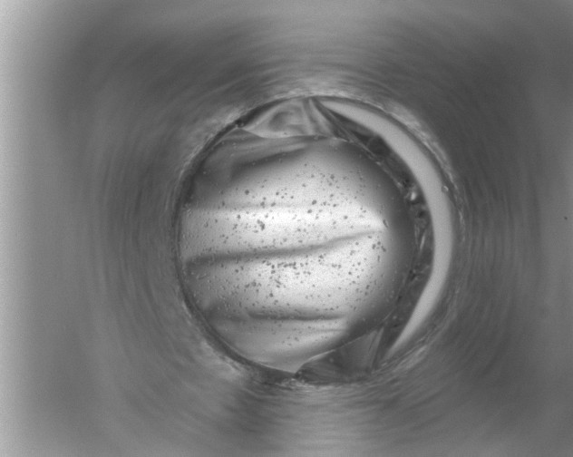 X0000052570481200507152256