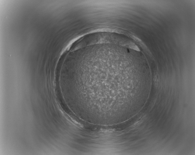 X0000052570484200507152256