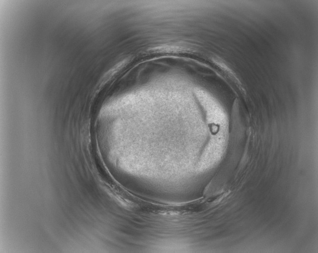 X0000052570486200507152256