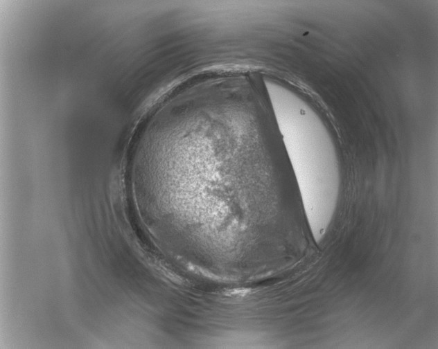 X0000052570487200507152256