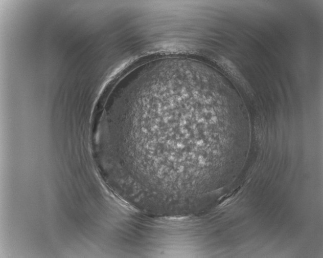 X0000052570488200507152256