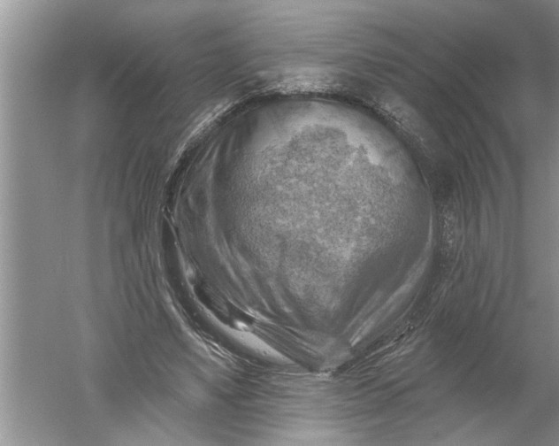 X0000052570491200507152256