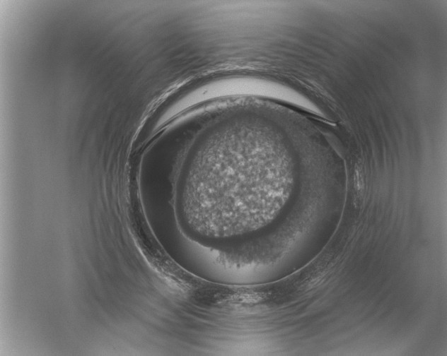 X0000052570492200507152256