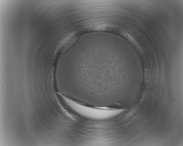 X0000052570493200507152256