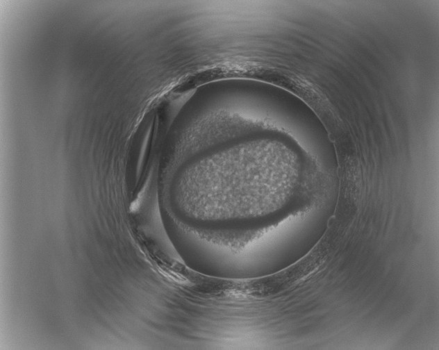 X0000052570496200507152256