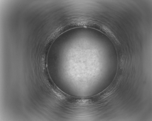 X0000052570497200507152256