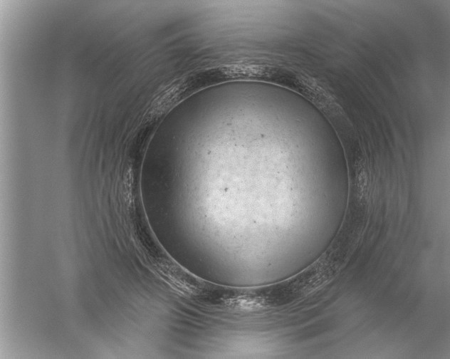 X0000052570498200507152256